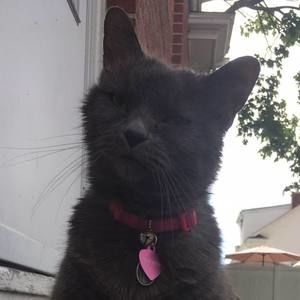 Meet your Posher, Richard